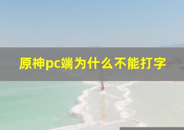 原神pc端为什么不能打字