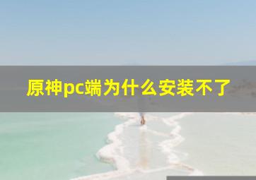 原神pc端为什么安装不了