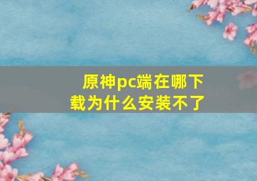 原神pc端在哪下载为什么安装不了