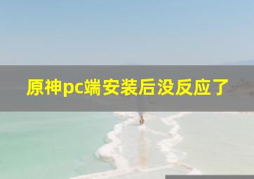 原神pc端安装后没反应了