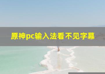 原神pc输入法看不见字幕