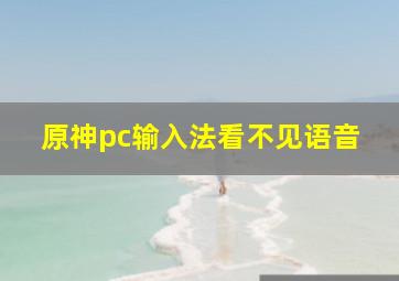 原神pc输入法看不见语音