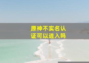 原神不实名认证可以进入吗