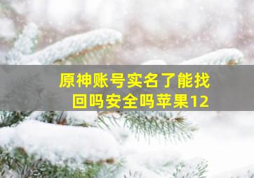 原神账号实名了能找回吗安全吗苹果12