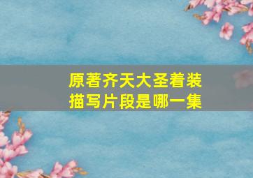 原著齐天大圣着装描写片段是哪一集