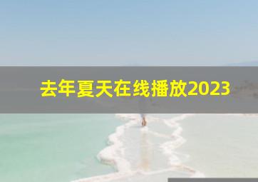 去年夏天在线播放2023