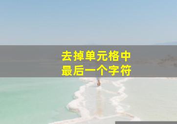 去掉单元格中最后一个字符