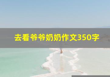 去看爷爷奶奶作文350字