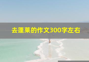 去蓬莱的作文300字左右