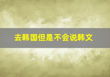 去韩国但是不会说韩文