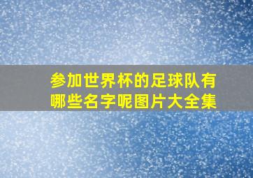 参加世界杯的足球队有哪些名字呢图片大全集