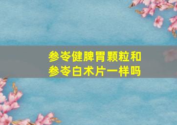 参岺健脾胃颗粒和参岺白术片一样吗