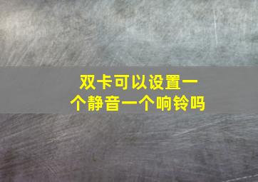 双卡可以设置一个静音一个响铃吗