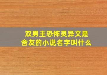 双男主恐怖灵异文是舍友的小说名字叫什么