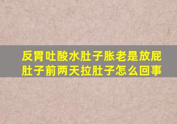 反胃吐酸水肚子胀老是放屁肚子前两天拉肚子怎么回事