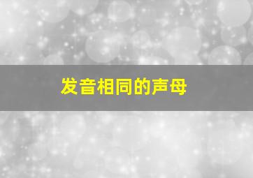 发音相同的声母