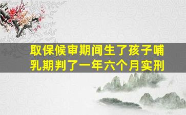 取保候审期间生了孩子哺乳期判了一年六个月实刑