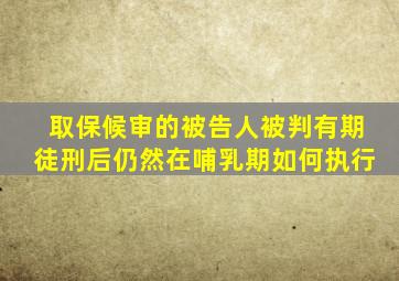 取保候审的被告人被判有期徒刑后仍然在哺乳期如何执行