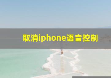 取消iphone语音控制