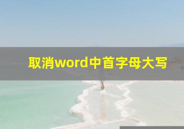 取消word中首字母大写