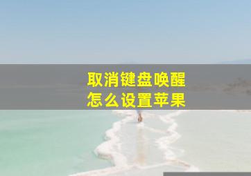 取消键盘唤醒怎么设置苹果