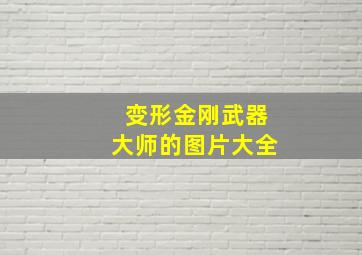 变形金刚武器大师的图片大全