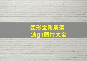 变形金刚震荡波g1图片大全