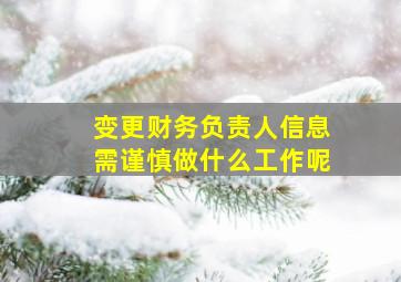 变更财务负责人信息需谨慎做什么工作呢