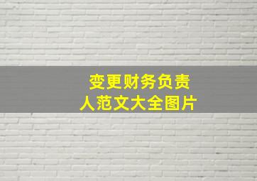 变更财务负责人范文大全图片