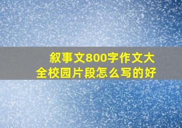 叙事文800字作文大全校园片段怎么写的好