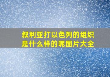 叙利亚打以色列的组织是什么样的呢图片大全