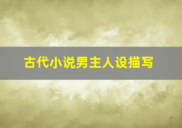 古代小说男主人设描写