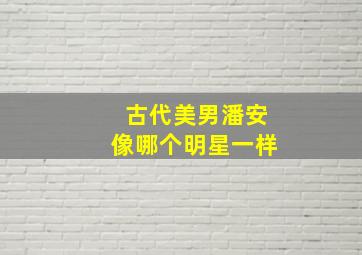 古代美男潘安像哪个明星一样