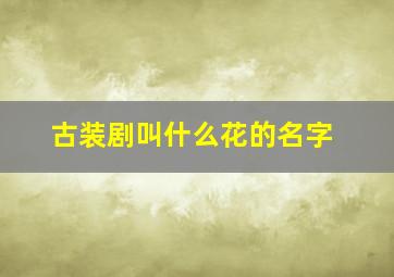 古装剧叫什么花的名字