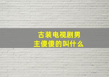 古装电视剧男主傻傻的叫什么