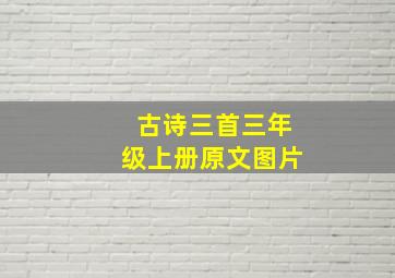 古诗三首三年级上册原文图片