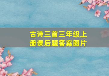 古诗三首三年级上册课后题答案图片