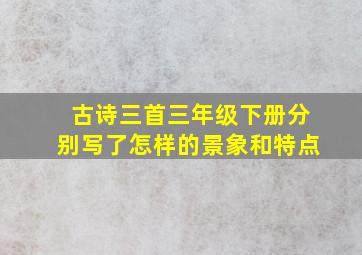 古诗三首三年级下册分别写了怎样的景象和特点