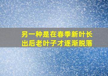 另一种是在春季新叶长出后老叶子才逐渐脱落