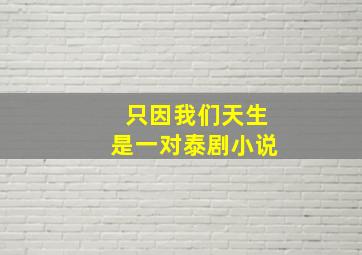 只因我们天生是一对泰剧小说