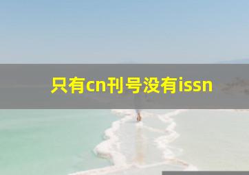 只有cn刊号没有issn