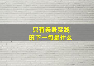 只有亲身实践的下一句是什么