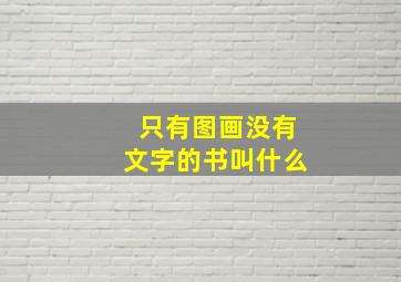 只有图画没有文字的书叫什么