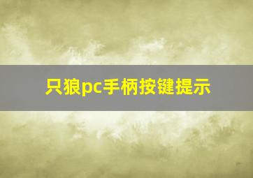 只狼pc手柄按键提示