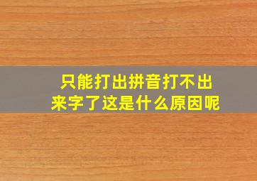 只能打出拼音打不出来字了这是什么原因呢