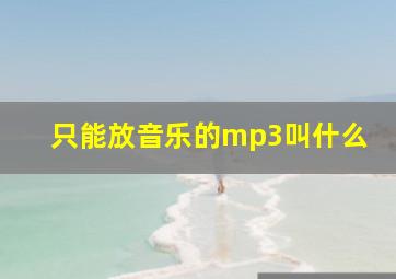 只能放音乐的mp3叫什么