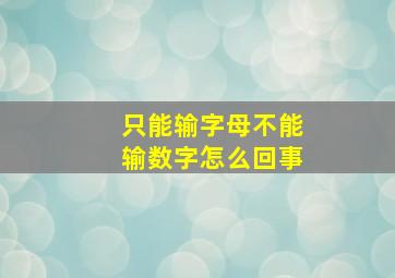 只能输字母不能输数字怎么回事