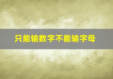 只能输数字不能输字母