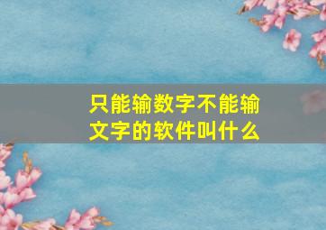 只能输数字不能输文字的软件叫什么