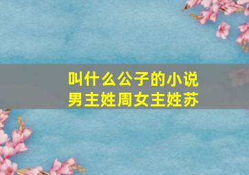 叫什么公子的小说男主姓周女主姓苏